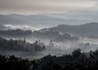 Phil Dobson_Dawn, Horton Plains NP, Sri Lanka.jpg